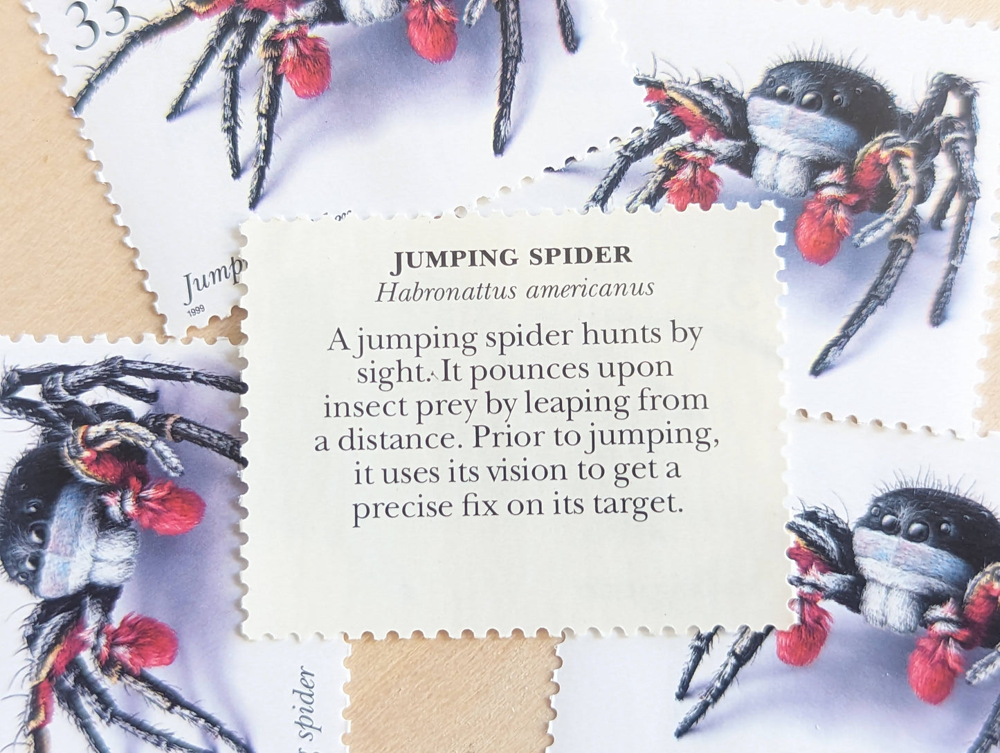Jumping Spider Stamps, Set of 5, Vintage Unused USPS 33 Cent Postage Stamps, Insects and Spiders Series 1999, Gummed