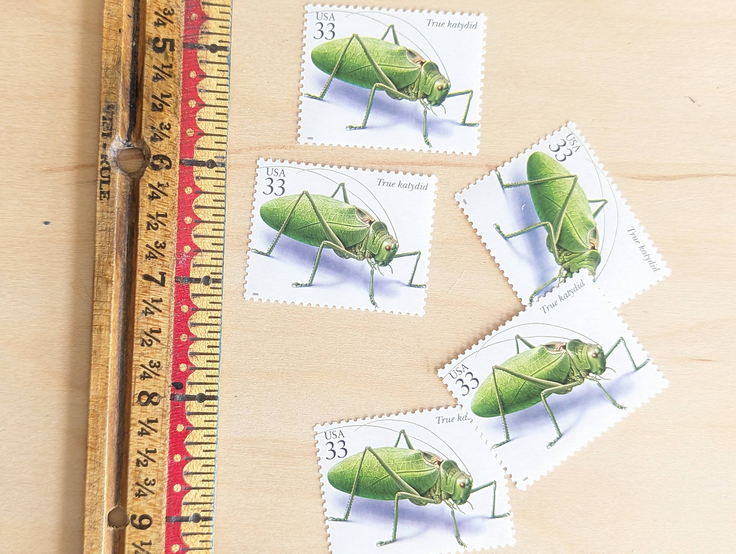 True Katydid Stamps, Set of 5, Vintage Unused USPS 33 Cent Postage Stamps, Insects and Spiders Series 1999, Gummed