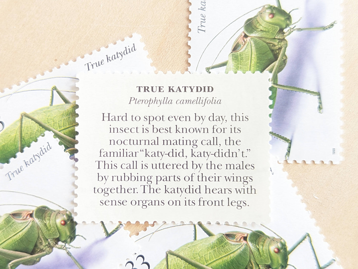True Katydid Stamps, Set of 5, Vintage Unused USPS 33 Cent Postage Stamps, Insects and Spiders Series 1999, Gummed