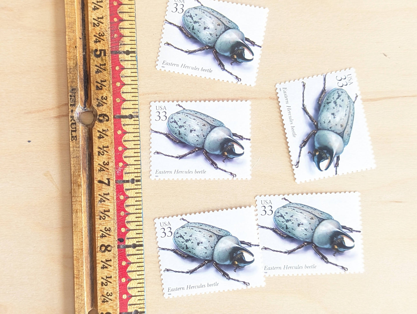 Eastern Hercules Beetle Stamps, Set of 5, Vintage Unused USPS 33 Cent Postage Stamps, Insects and Spiders Series 1999, Gummed