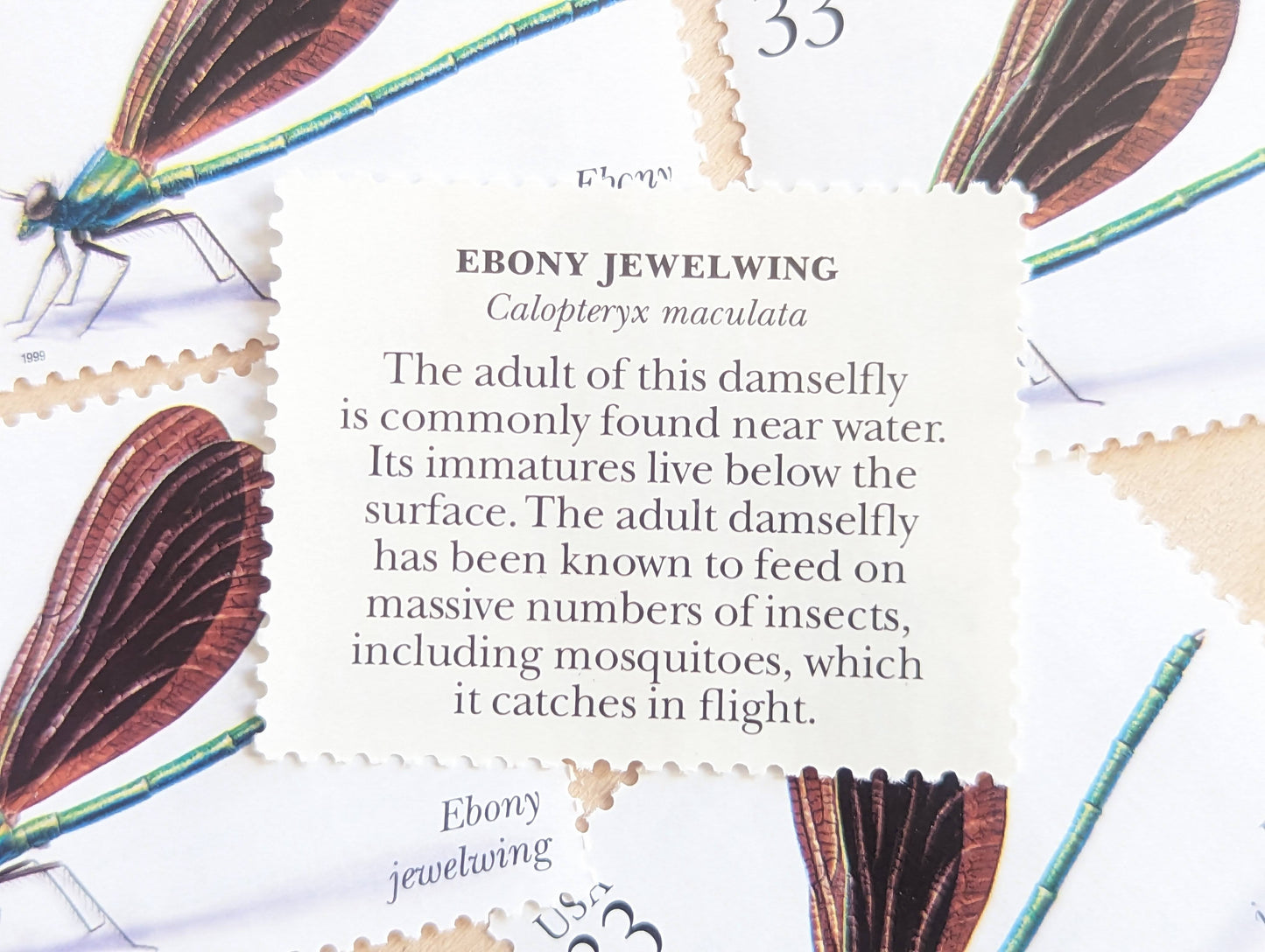 Ebony Jewelwing Stamps, Set of 5, Vintage Unused USPS 33 Cent Postage Stamps, Insects and Spiders Series 1999, Gummed