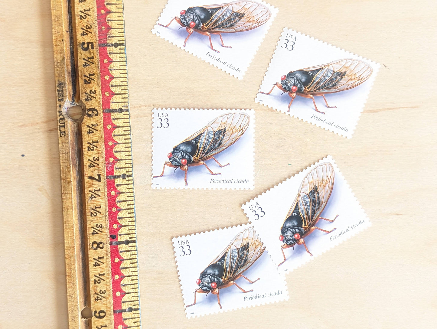 Periodical Cicada Stamps, Set of 5, Vintage Unused USPS 33 Cent Postage Stamps, Insects and Spiders Series 1999, Gummed