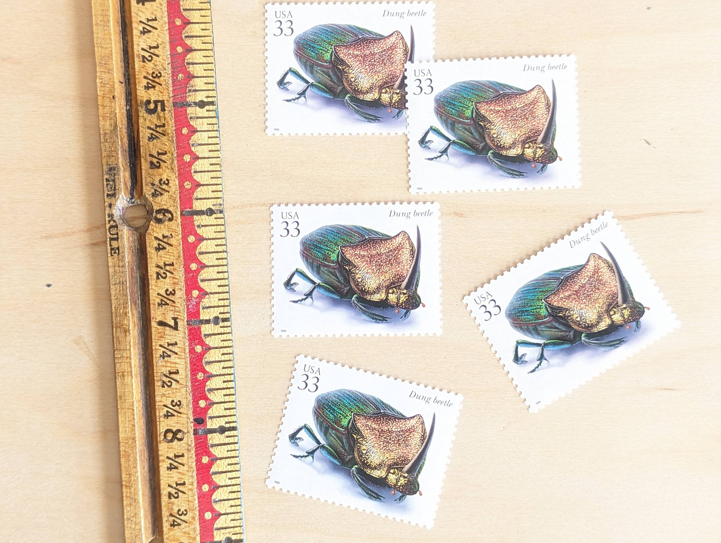 Dung Beetle Stamps, Set of 5, Vintage Unused USPS 33 Cent Postage Stamps, Insects and Spiders Series 1999, Gummed
