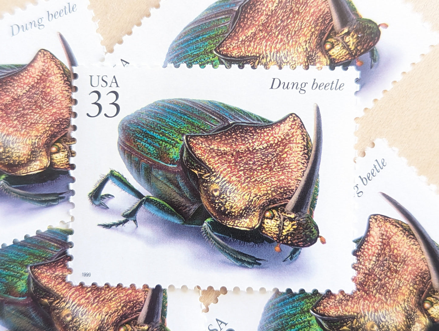 Dung Beetle Stamps, Set of 5, Vintage Unused USPS 33 Cent Postage Stamps, Insects and Spiders Series 1999, Gummed
