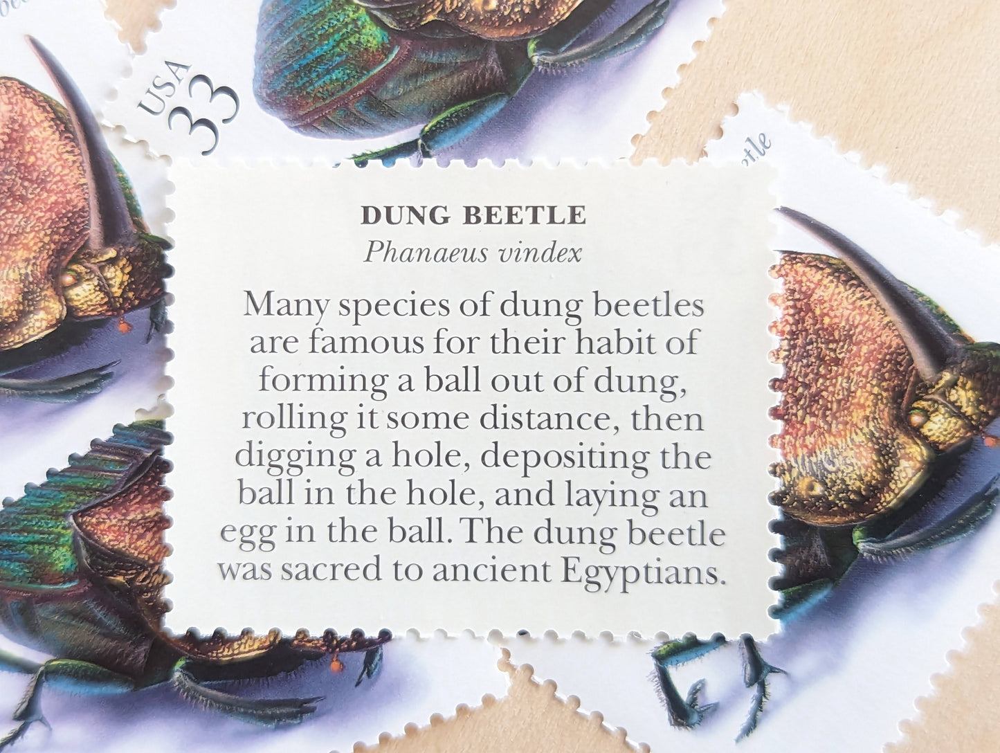 Dung Beetle Stamps, Set of 5, Vintage Unused USPS 33 Cent Postage Stamps, Insects and Spiders Series 1999, Gummed