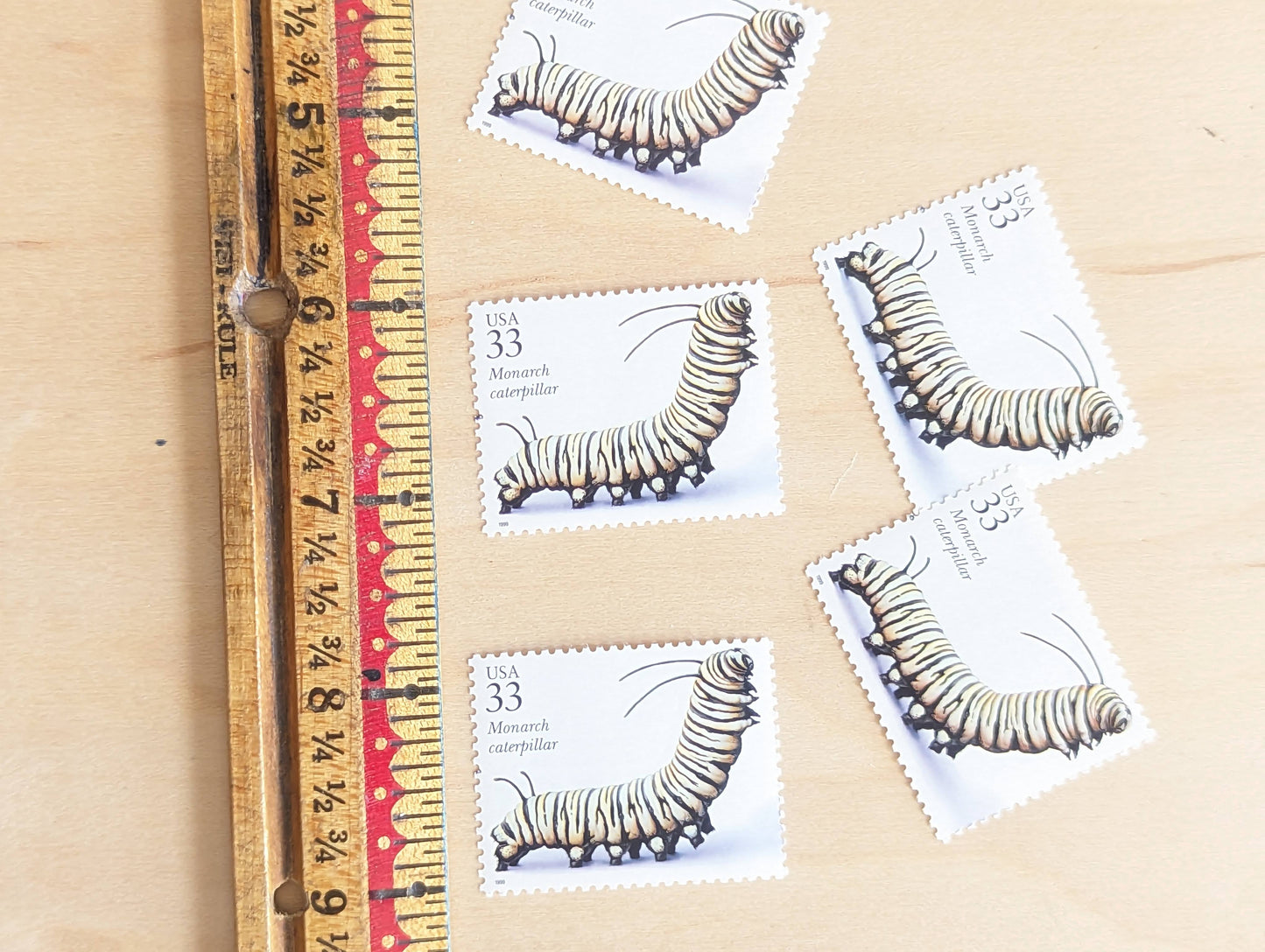 Monarch Caterpillar Stamps, Set of 5, Vintage Unused USPS 33 Cent Postage Stamps, Insects and Spiders Series 1999, Gummed