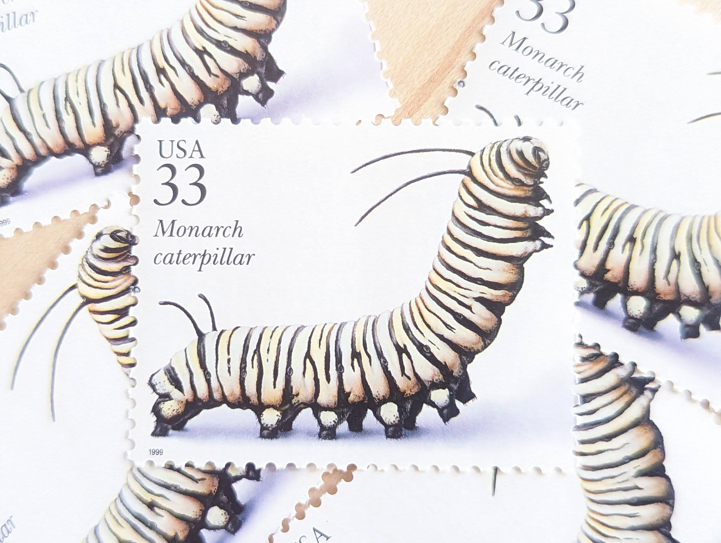 Monarch Caterpillar Stamps, Set of 5, Vintage Unused USPS 33 Cent Postage Stamps, Insects and Spiders Series 1999, Gummed