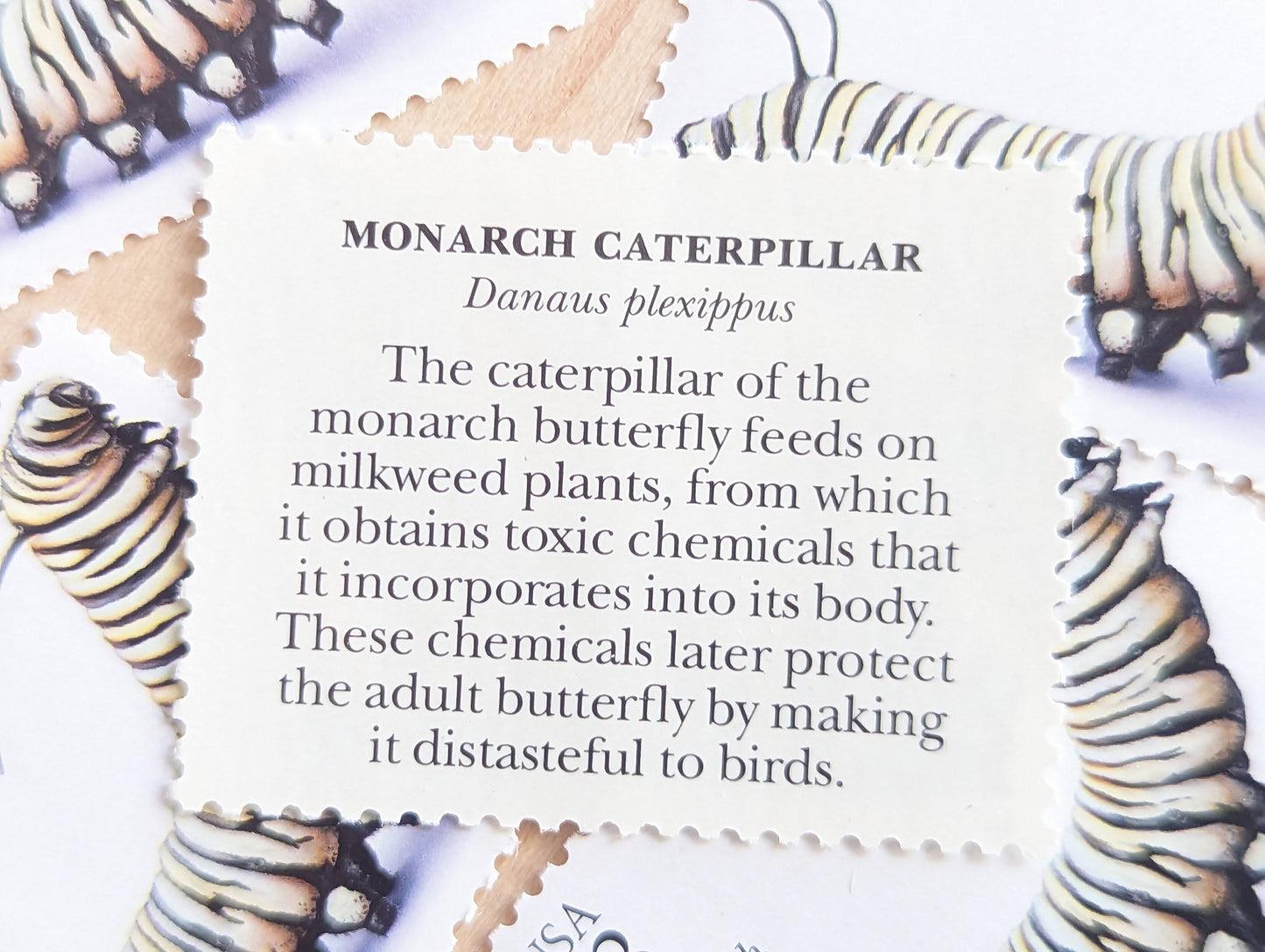 Monarch Caterpillar Stamps, Set of 5, Vintage Unused USPS 33 Cent Postage Stamps, Insects and Spiders Series 1999, Gummed