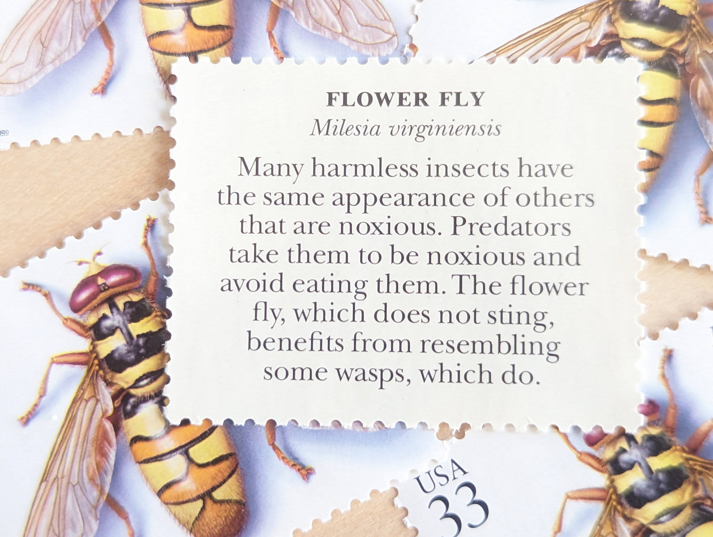 Flower Fly Stamps, Set of 5, Vintage Unused USPS 33 Cent Postage Stamps, Insects and Spiders Series 1999, Gummed