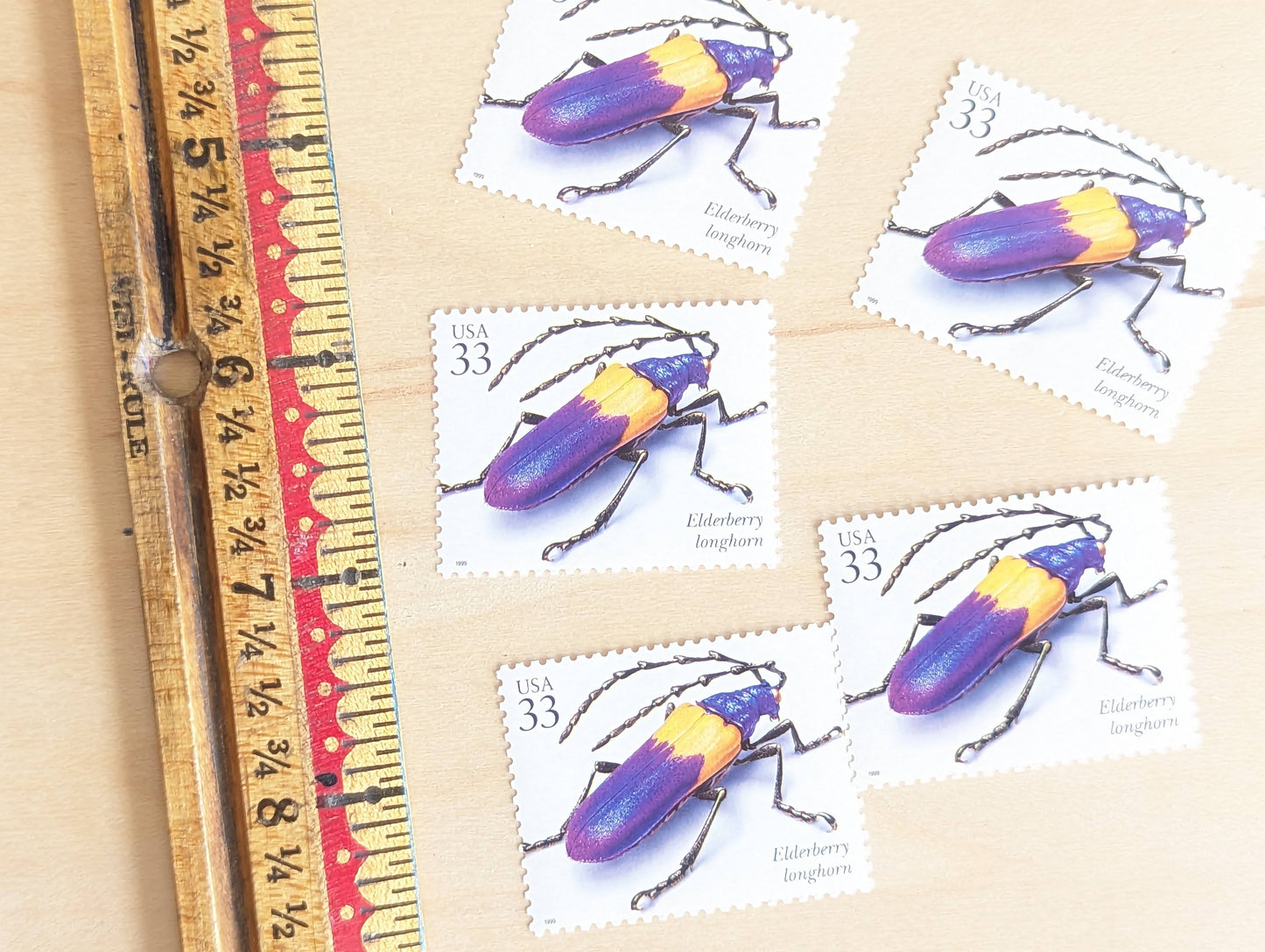 Elderberry Longhorn Stamps, Set of 5, Vintage Unused USPS 33 Cent Postage Stamps, Insects and Spiders Series 1999, Gummed