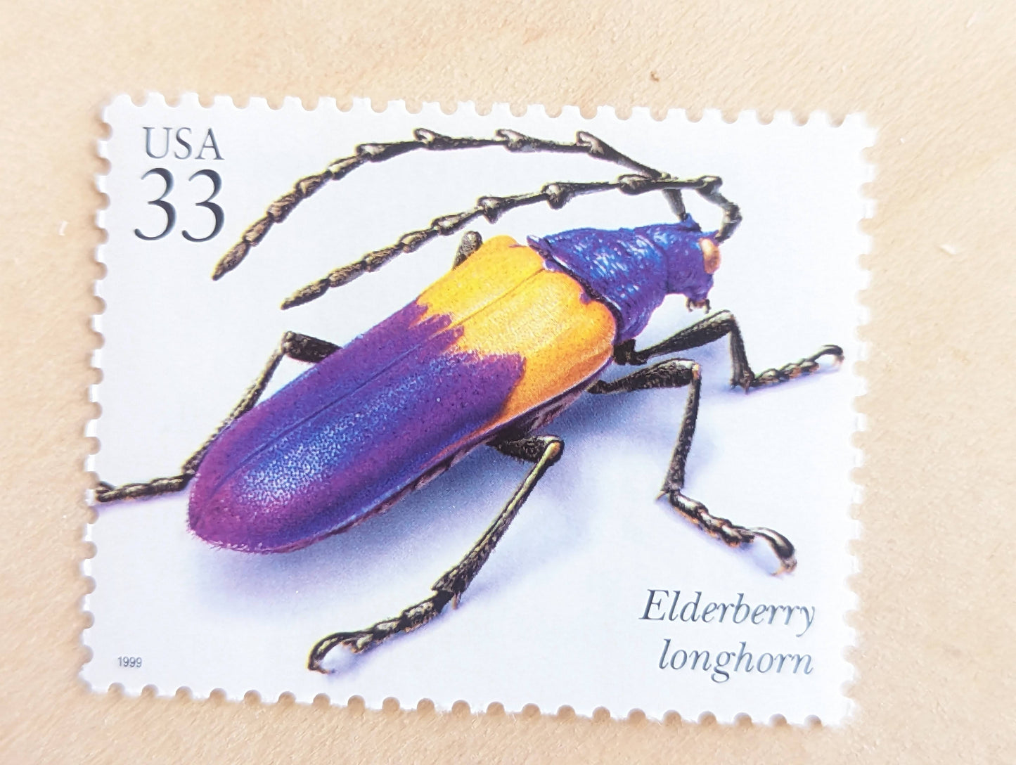 Elderberry Longhorn Stamps, Set of 5, Vintage Unused USPS 33 Cent Postage Stamps, Insects and Spiders Series 1999, Gummed