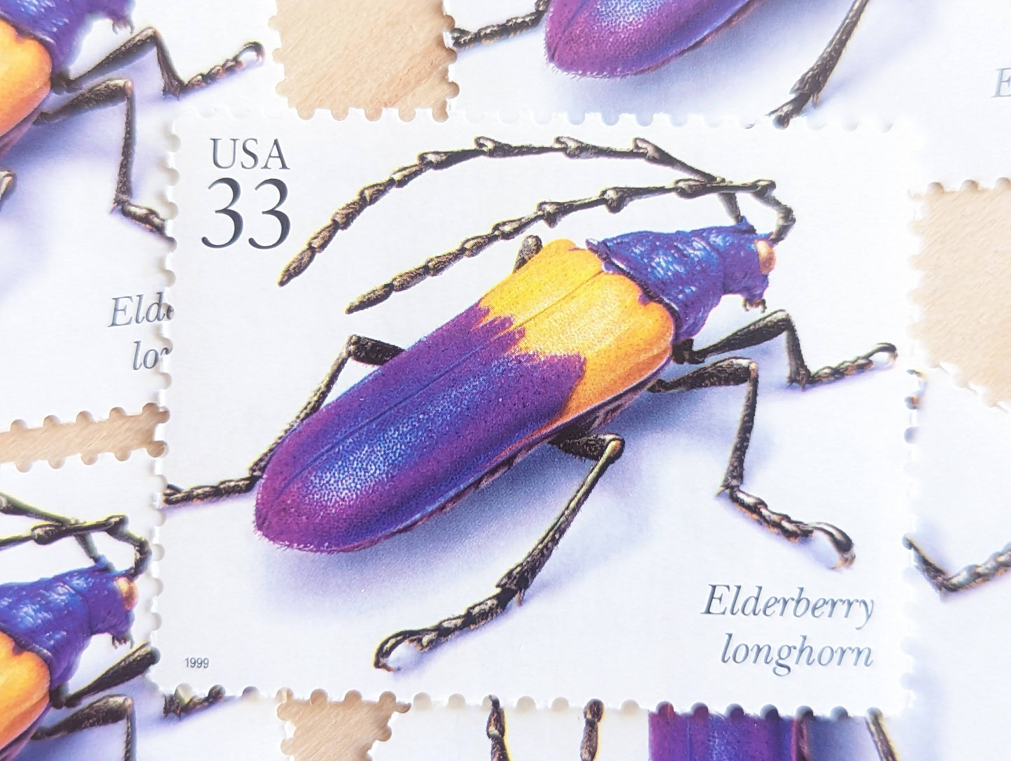 Elderberry Longhorn Stamps, Set of 5, Vintage Unused USPS 33 Cent Postage Stamps, Insects and Spiders Series 1999, Gummed