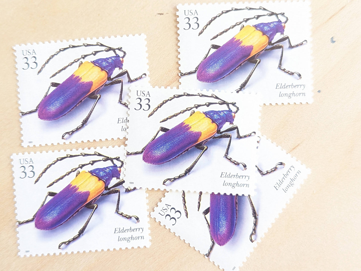 Elderberry Longhorn Stamps, Set of 5, Vintage Unused USPS 33 Cent Postage Stamps, Insects and Spiders Series 1999, Gummed