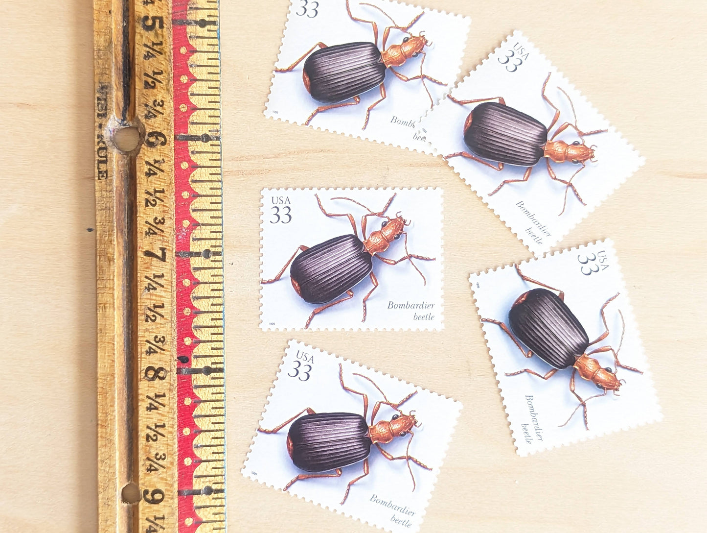 Bombardier Beetle Stamps, Set of 5, Vintage Unused USPS 33 Cent Postage Stamps, Insects and Spiders Series 1999, Gummed