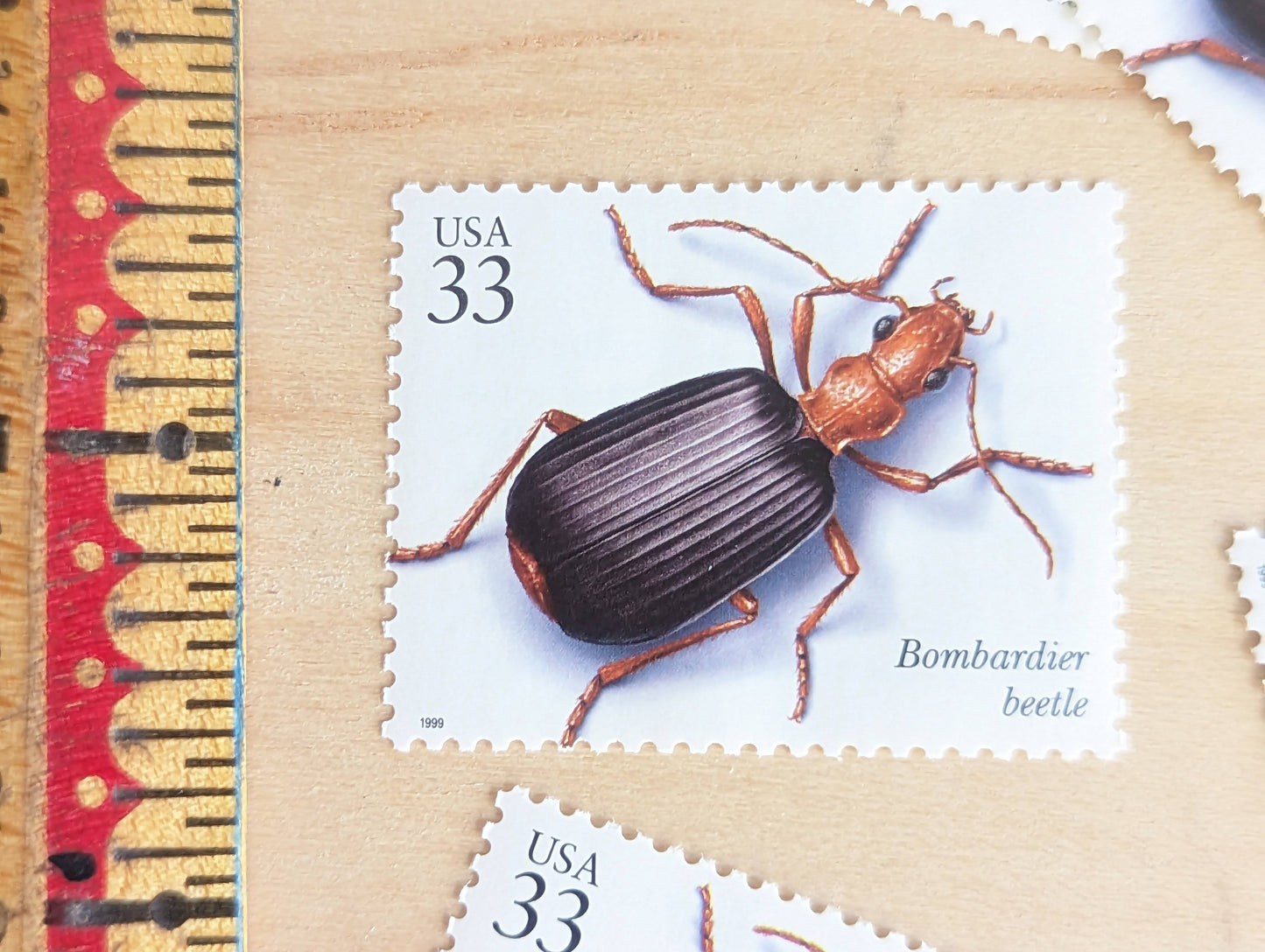 Bombardier Beetle Stamps, Set of 5, Vintage Unused USPS 33 Cent Postage Stamps, Insects and Spiders Series 1999, Gummed