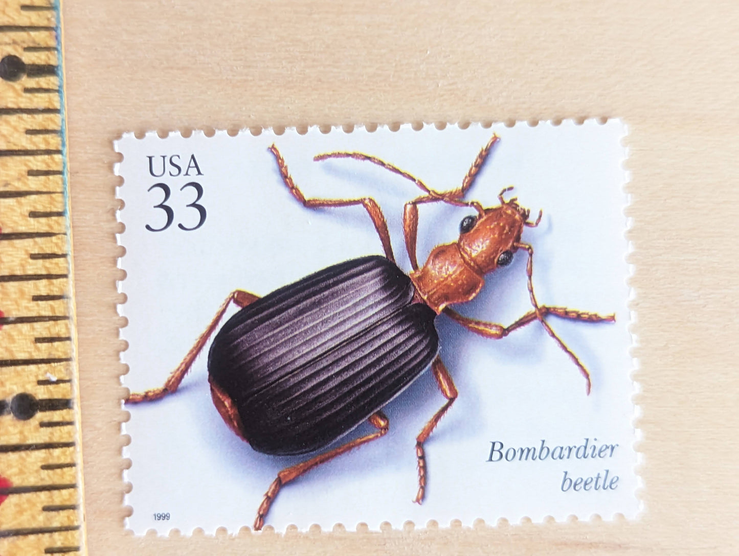 Bombardier Beetle Stamps, Set of 5, Vintage Unused USPS 33 Cent Postage Stamps, Insects and Spiders Series 1999, Gummed