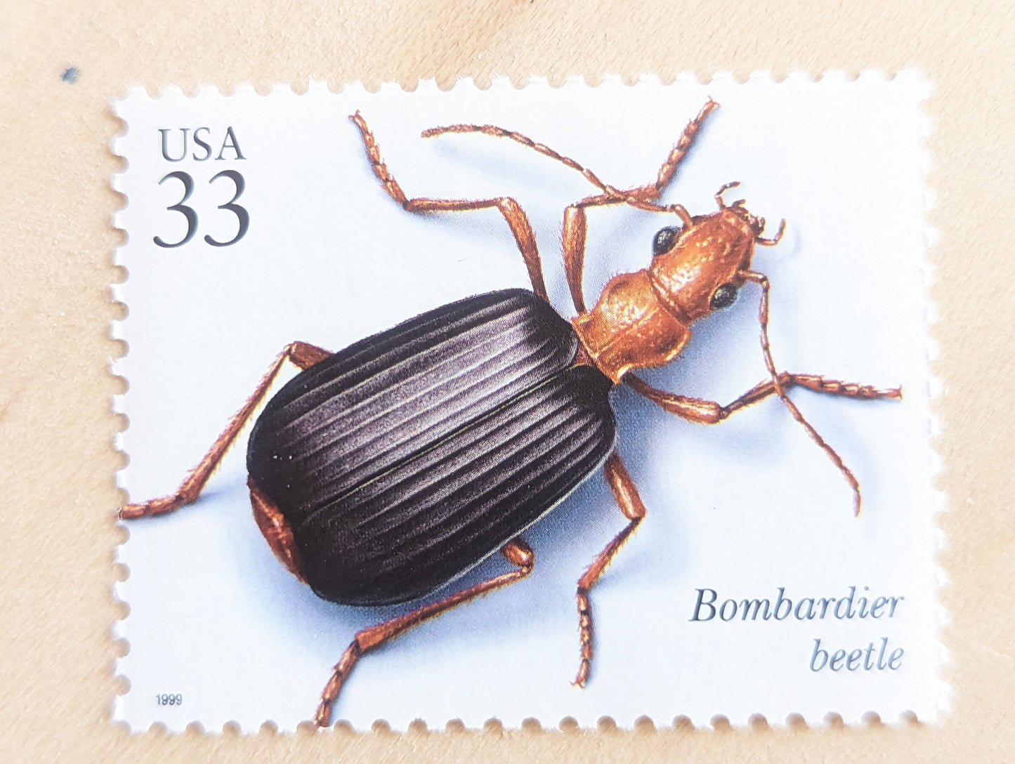 Bombardier Beetle Stamps, Set of 5, Vintage Unused USPS 33 Cent Postage Stamps, Insects and Spiders Series 1999, Gummed