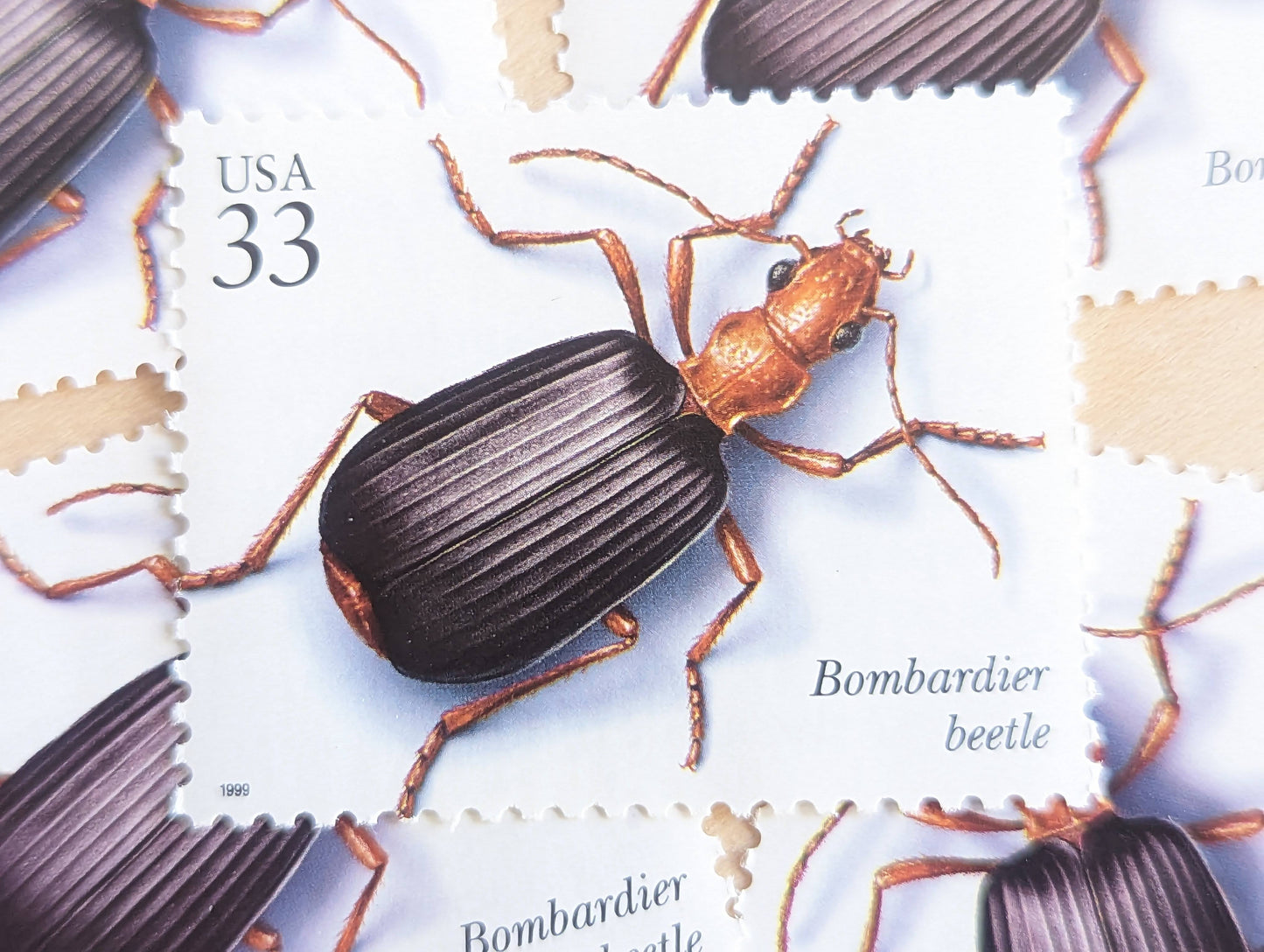 Bombardier Beetle Stamps, Set of 5, Vintage Unused USPS 33 Cent Postage Stamps, Insects and Spiders Series 1999, Gummed