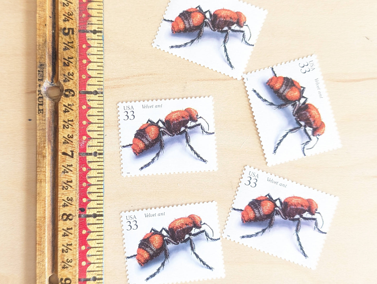 Velvet Ant Stamps, Set of 5, Vintage Unused USPS 33 Cent Postage Stamps, Insects and Spiders Series 1999, Gummed