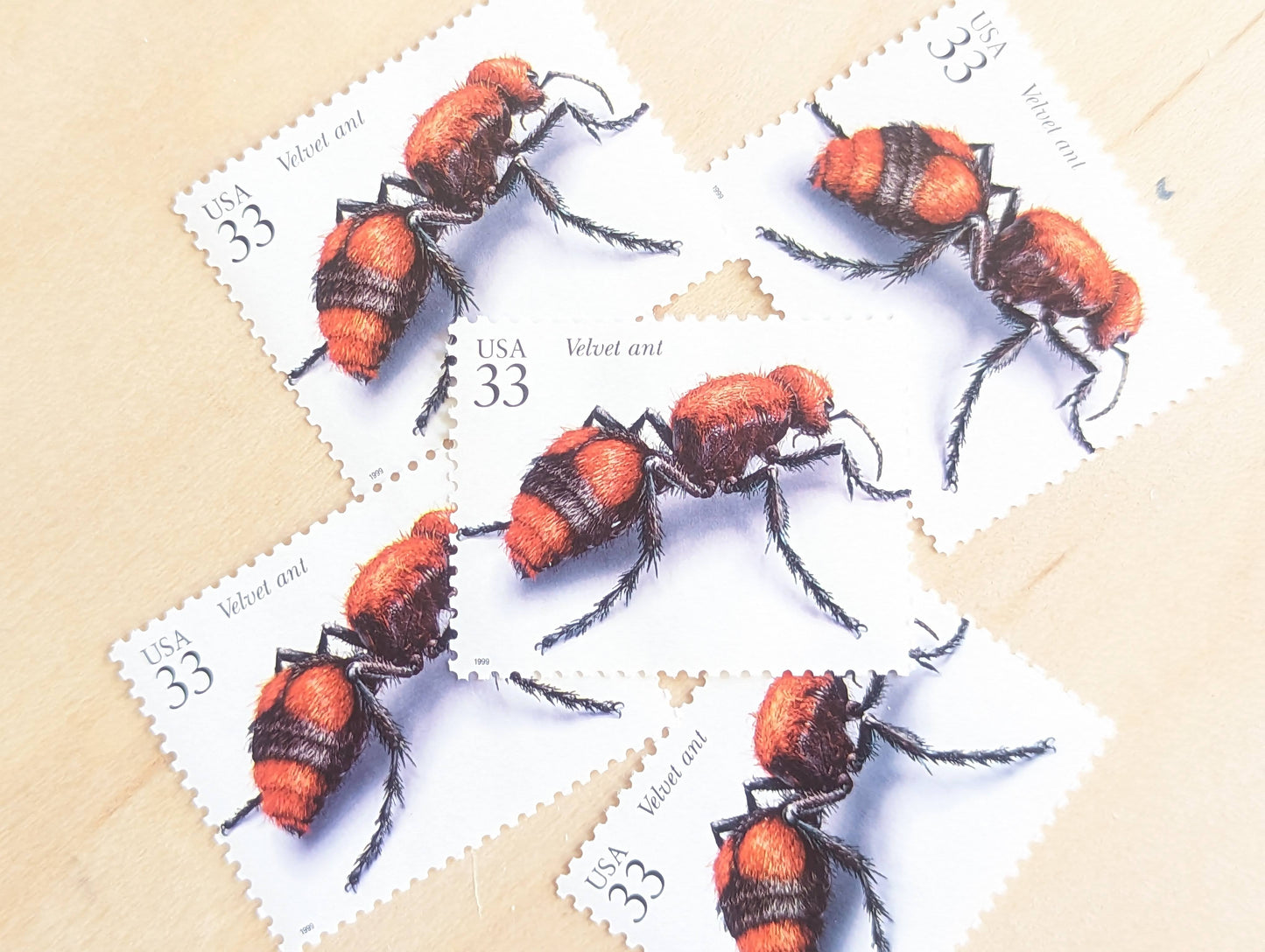 Velvet Ant Stamps, Set of 5, Vintage Unused USPS 33 Cent Postage Stamps, Insects and Spiders Series 1999, Gummed