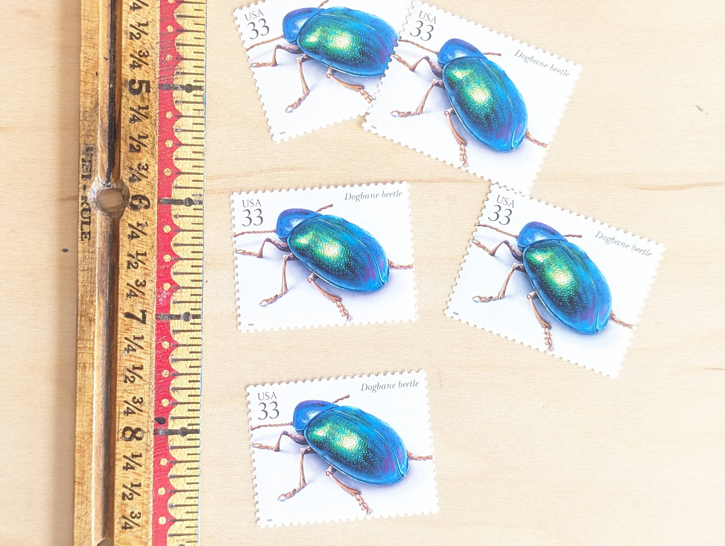 Dogbane Beetle Stamps, Set of 5, Vintage Unused USPS 33 Cent Postage Stamps, Insects and Spiders Series 1999, Gummed