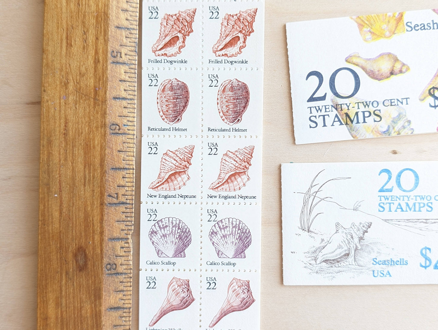 Seashells, Booklet of 20, Vintage Unused USPS 22 Cent Postage Stamps, Beach Wedding, 1985, Gummed