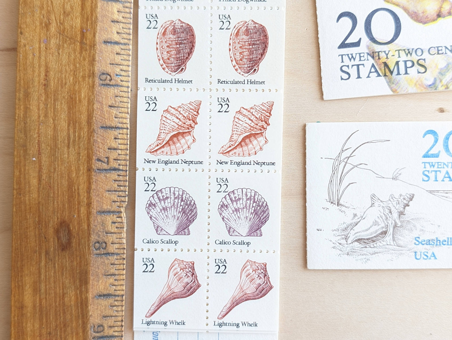 Seashells, Booklet of 20, Vintage Unused USPS 22 Cent Postage Stamps, Beach Wedding, 1985, Gummed