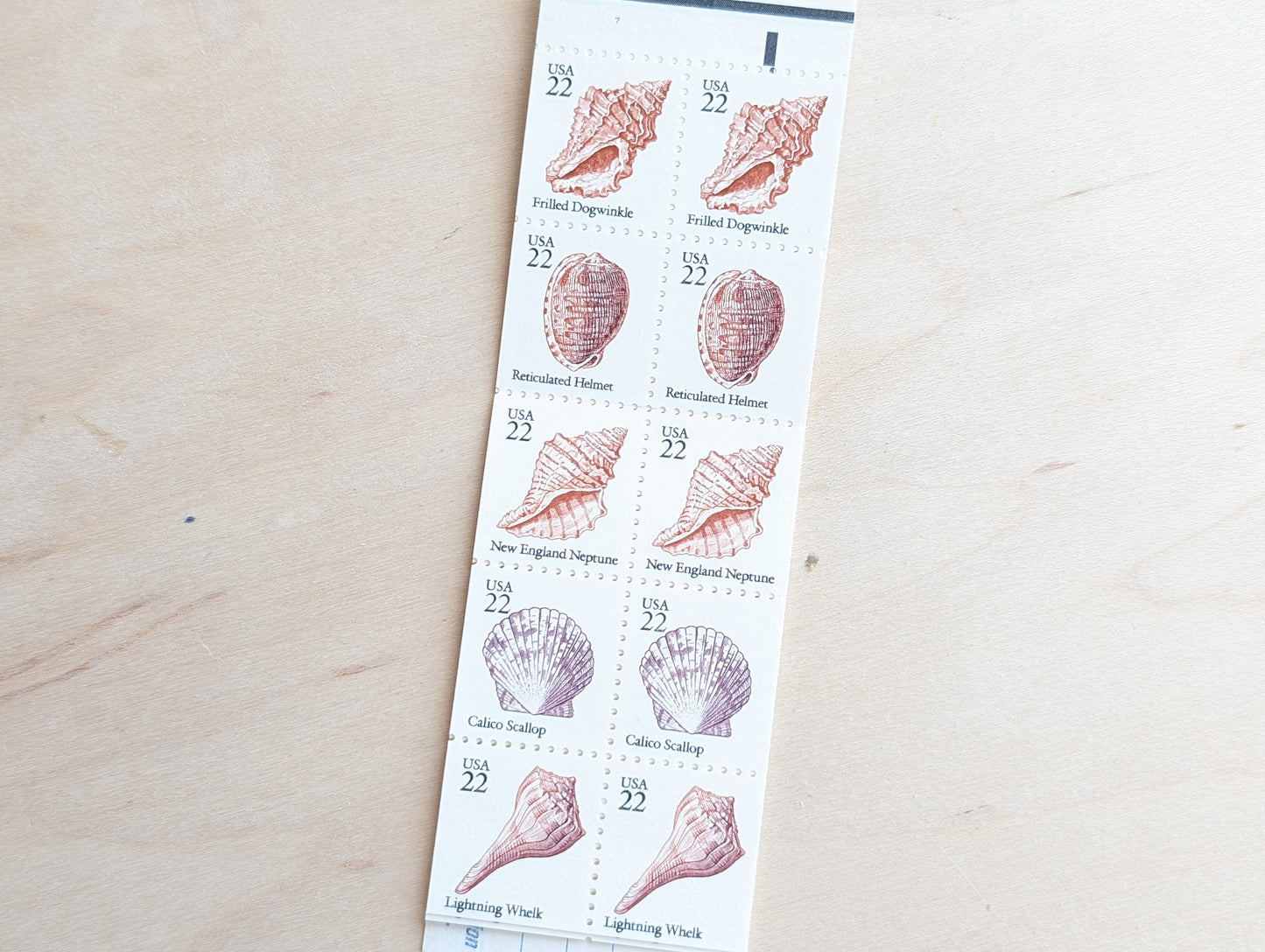 Seashells, Booklet of 20, Vintage Unused USPS 22 Cent Postage Stamps, Beach Wedding, 1985, Gummed