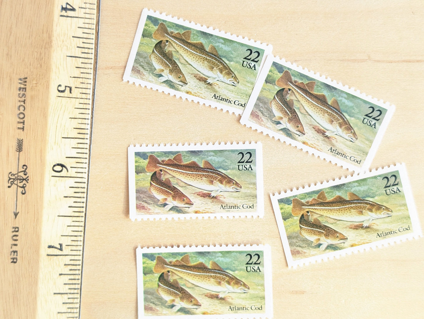 Atlantic Cod Stamps, Set of 5, Vintage Unused USPS 22 Cent Postage Stamps, Fish Stamps 1986, Gummed