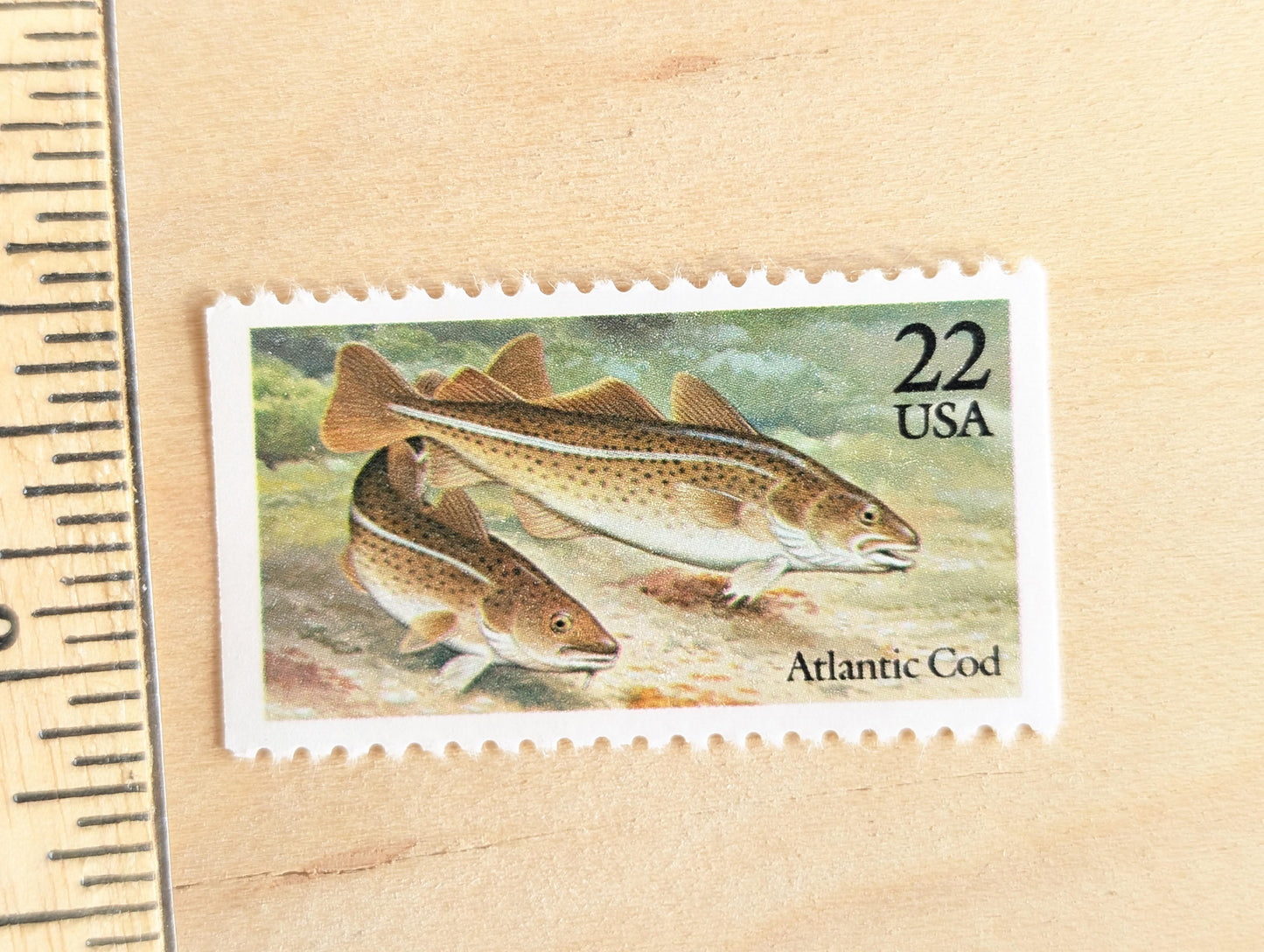 Atlantic Cod Stamps, Set of 5, Vintage Unused USPS 22 Cent Postage Stamps, Fish Stamps 1986, Gummed