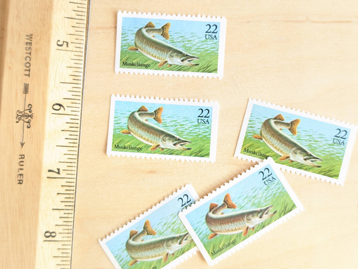 Muskellunge Stamps, Set of 5, Vintage Unused USPS 22 Cent Postage Stamps, Fish Stamps 1986, Gummed
