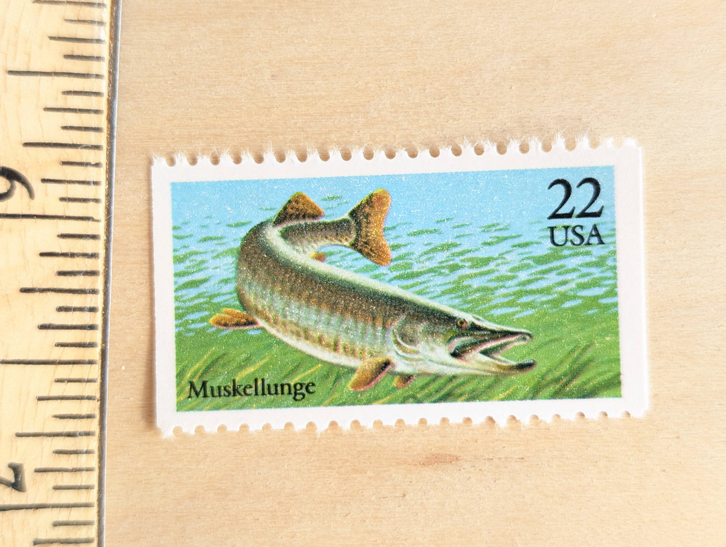 Muskellunge Stamps, Set of 5, Vintage Unused USPS 22 Cent Postage Stamps, Fish Stamps 1986, Gummed