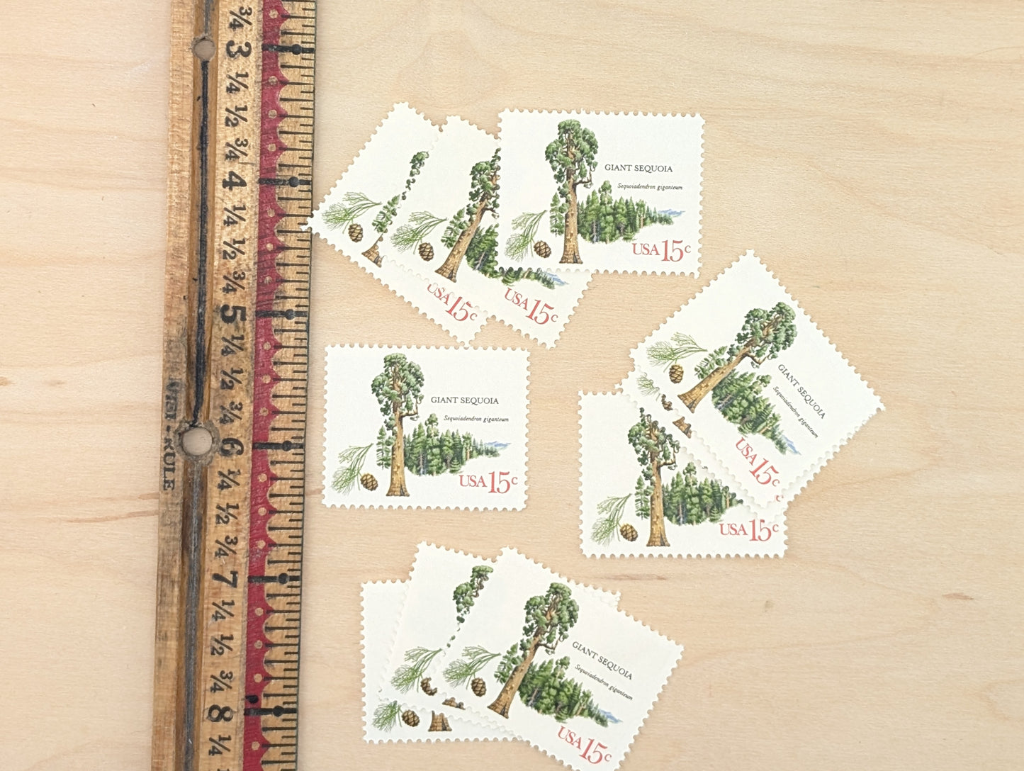 Giant Sequoia, Set of 10, Vintage Unused USPS 15 Cent Postage Stamps, American Trees Stamps, 1978, Gummed