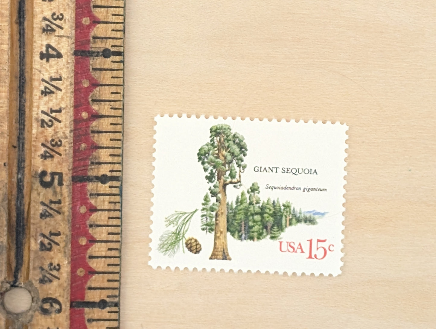 Giant Sequoia, Set of 10, Vintage Unused USPS 15 Cent Postage Stamps, American Trees Stamps, 1978, Gummed