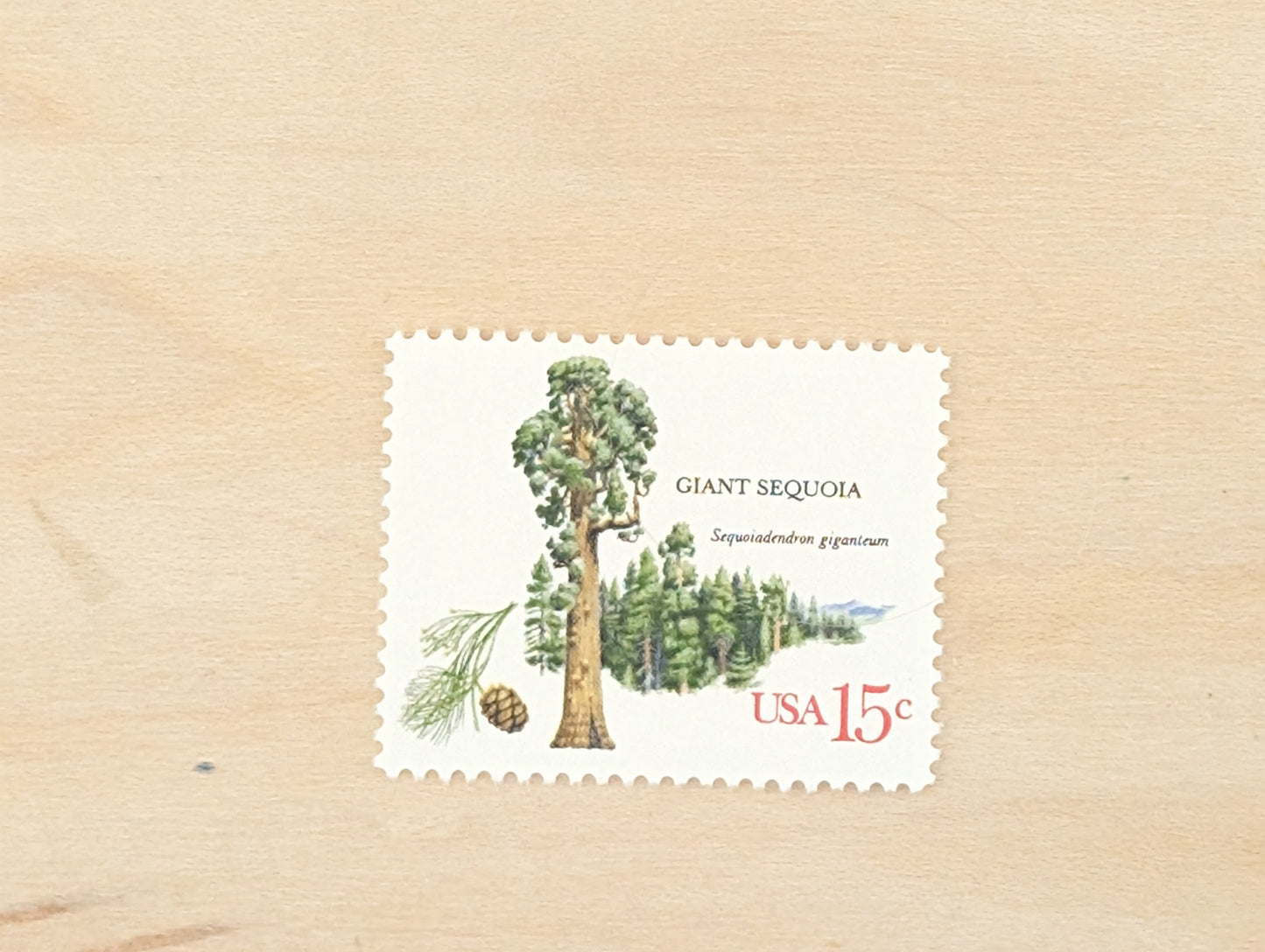 Giant Sequoia, Set of 10, Vintage Unused USPS 15 Cent Postage Stamps, American Trees Stamps, 1978, Gummed