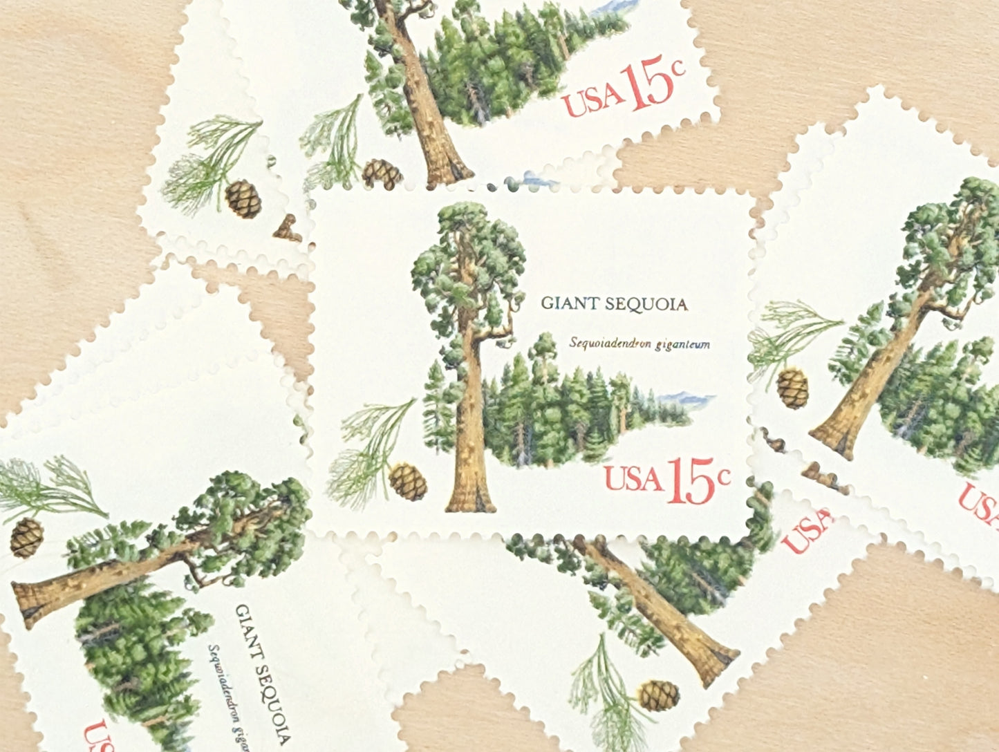 Giant Sequoia, Set of 10, Vintage Unused USPS 15 Cent Postage Stamps, American Trees Stamps, 1978, Gummed