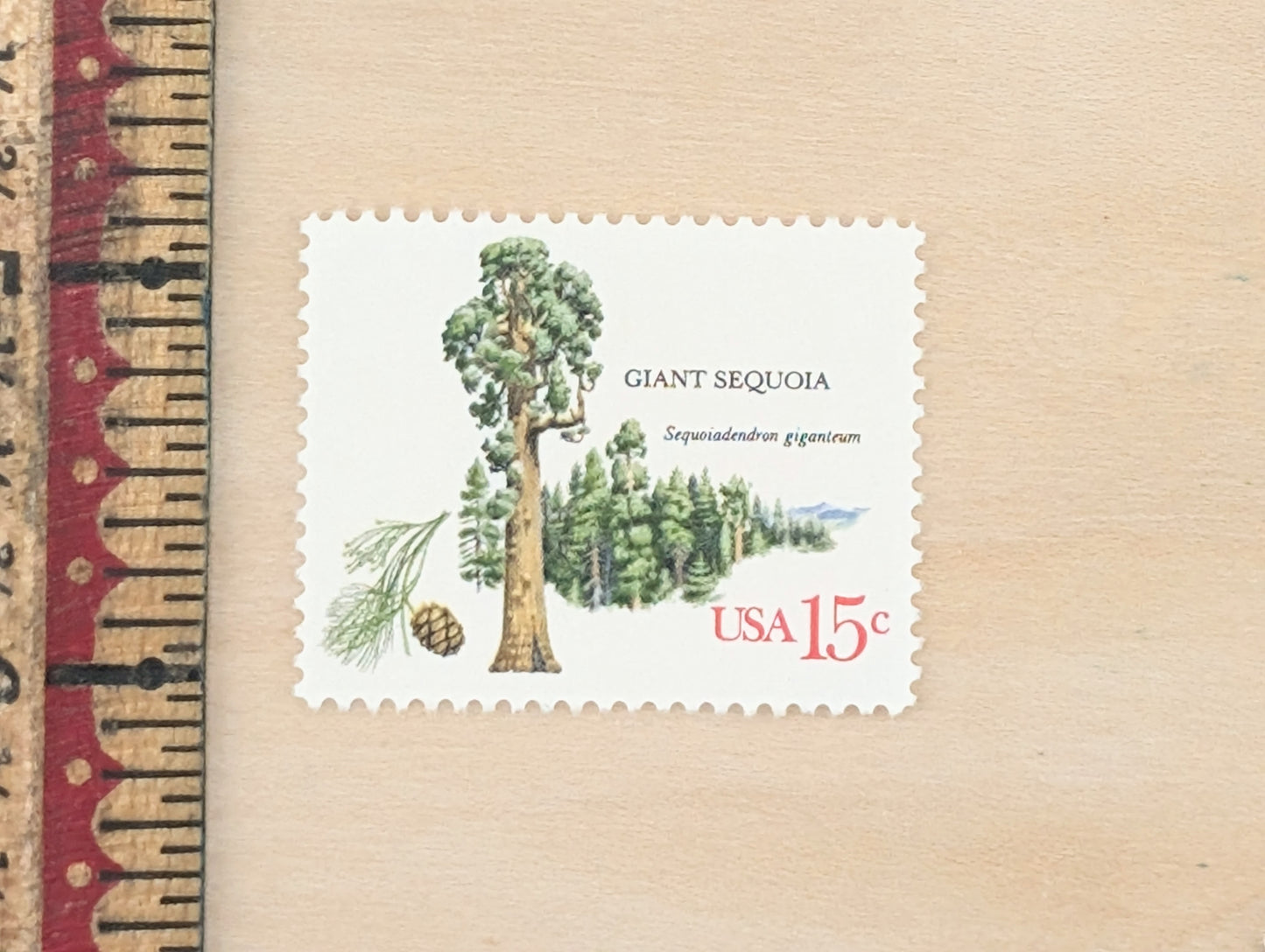 Giant Sequoia, Set of 10, Vintage Unused USPS 15 Cent Postage Stamps, American Trees Stamps, 1978, Gummed