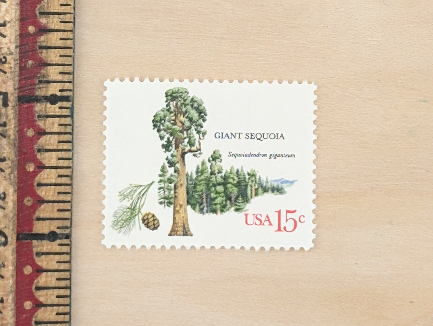 Giant Sequoia, Set of 10, Vintage Unused USPS 15 Cent Postage Stamps, American Trees Stamps, 1978, Gummed