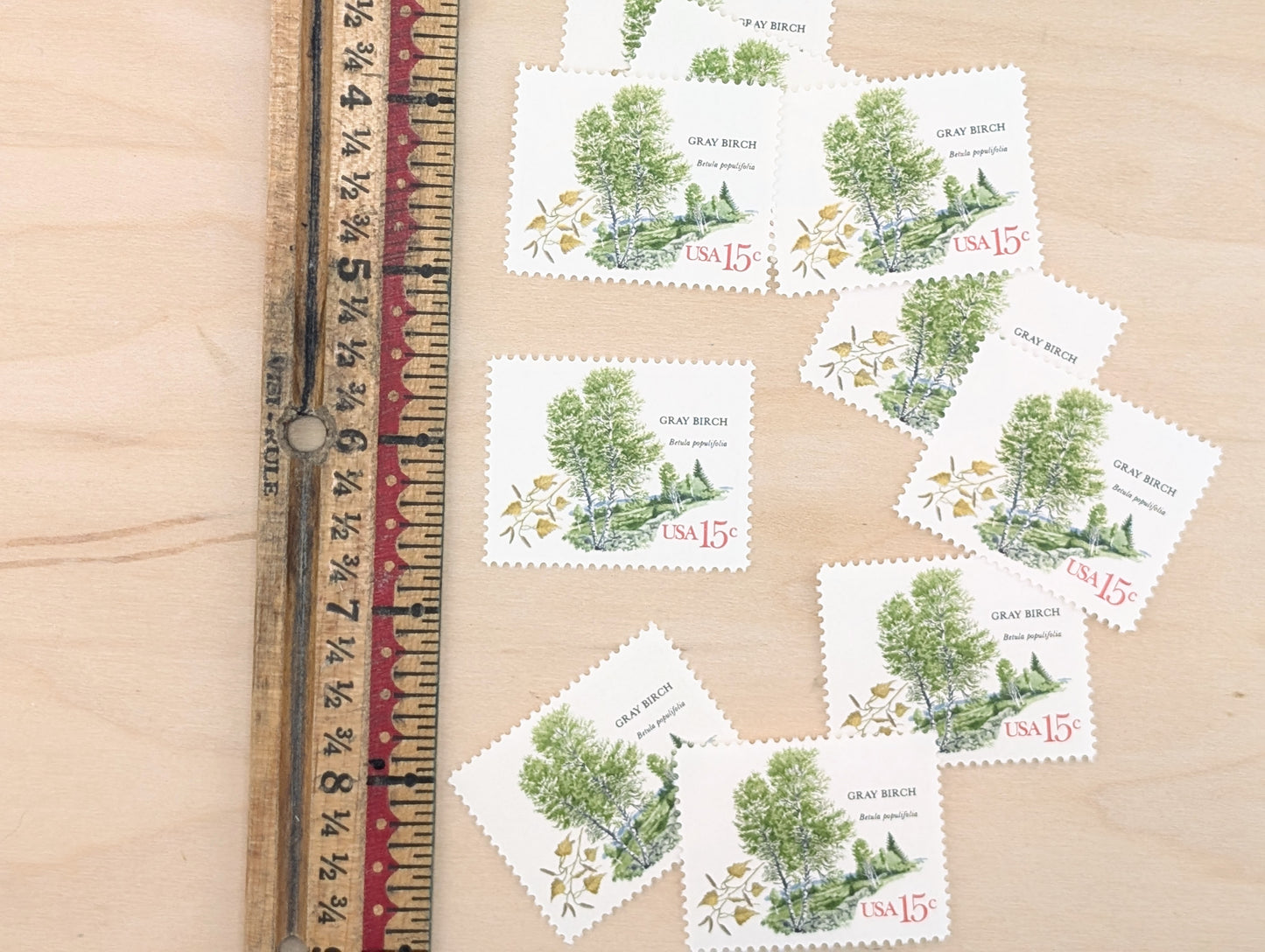 Gray Birch, Set of 10, Vintage Unused USPS 15 Cent Postage Stamps, American Trees Stamps, 1978, Gummed
