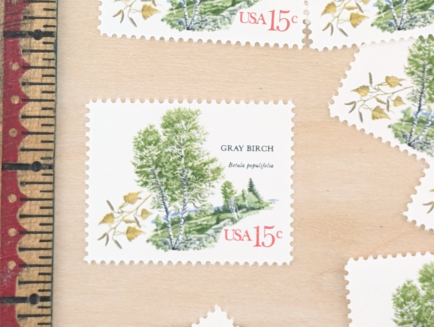 Gray Birch, Set of 10, Vintage Unused USPS 15 Cent Postage Stamps, American Trees Stamps, 1978, Gummed