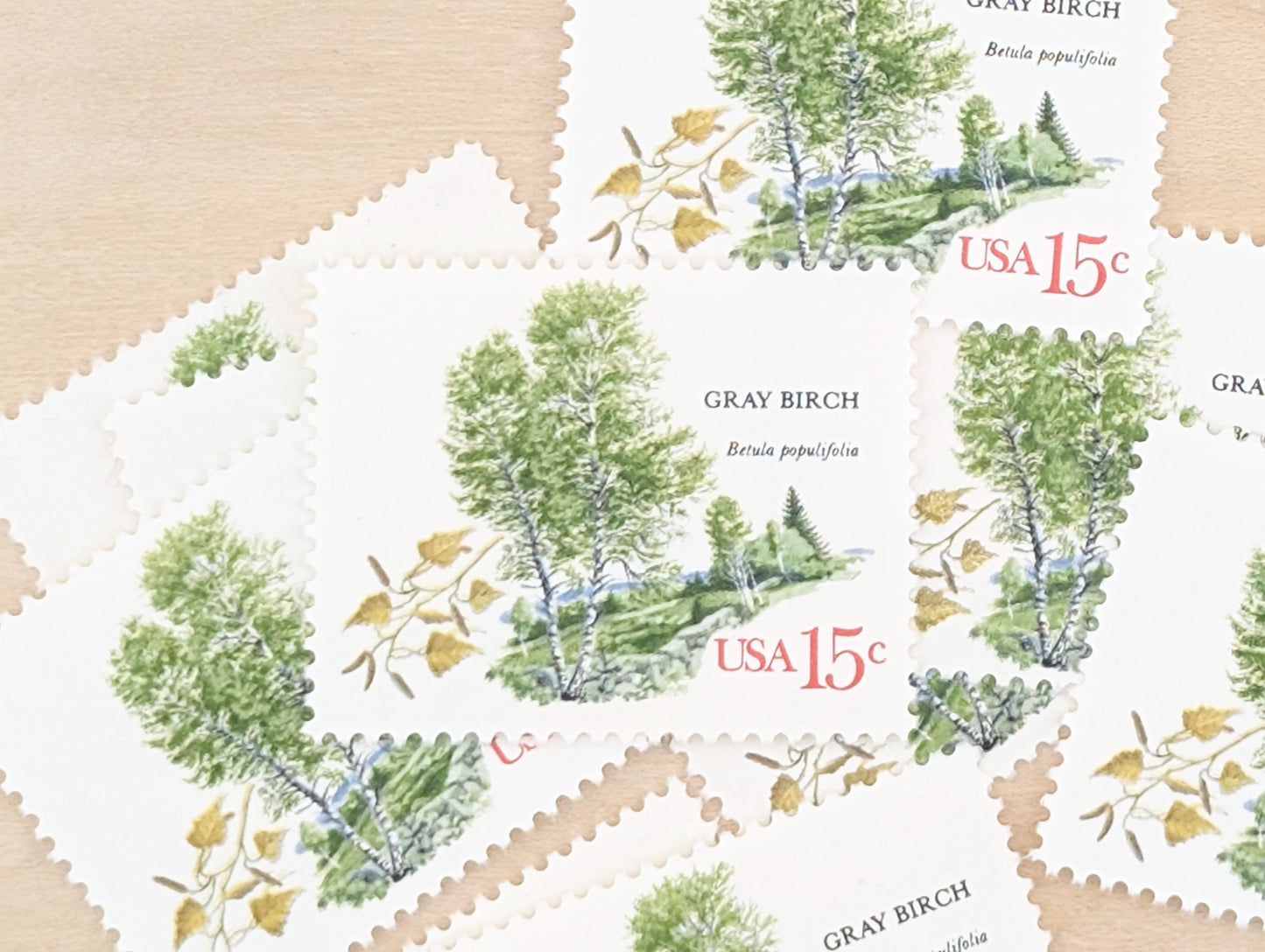 Gray Birch, Set of 10, Vintage Unused USPS 15 Cent Postage Stamps, American Trees Stamps, 1978, Gummed
