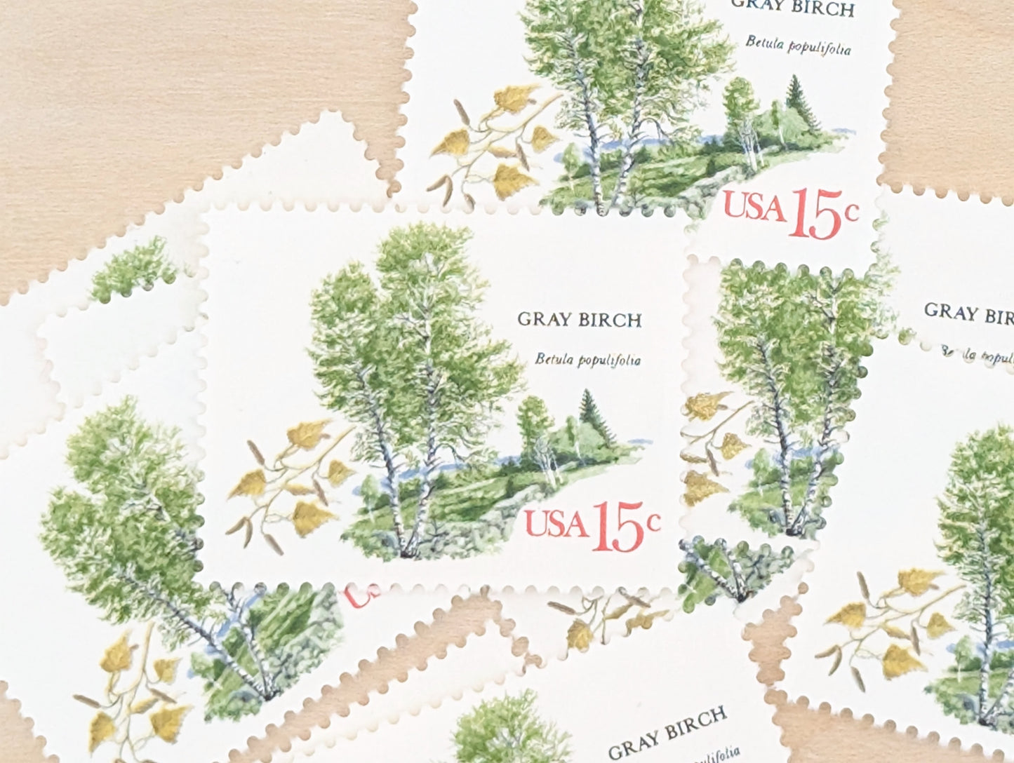 Gray Birch, Set of 10, Vintage Unused USPS 15 Cent Postage Stamps, American Trees Stamps, 1978, Gummed