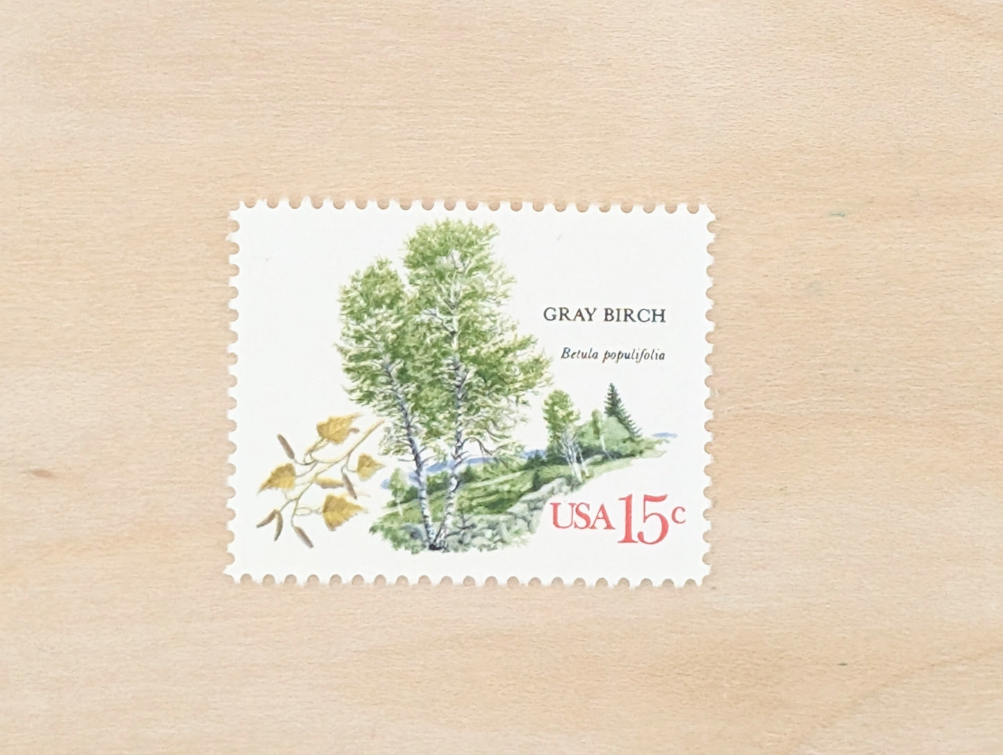 Gray Birch, Set of 10, Vintage Unused USPS 15 Cent Postage Stamps, American Trees Stamps, 1978, Gummed