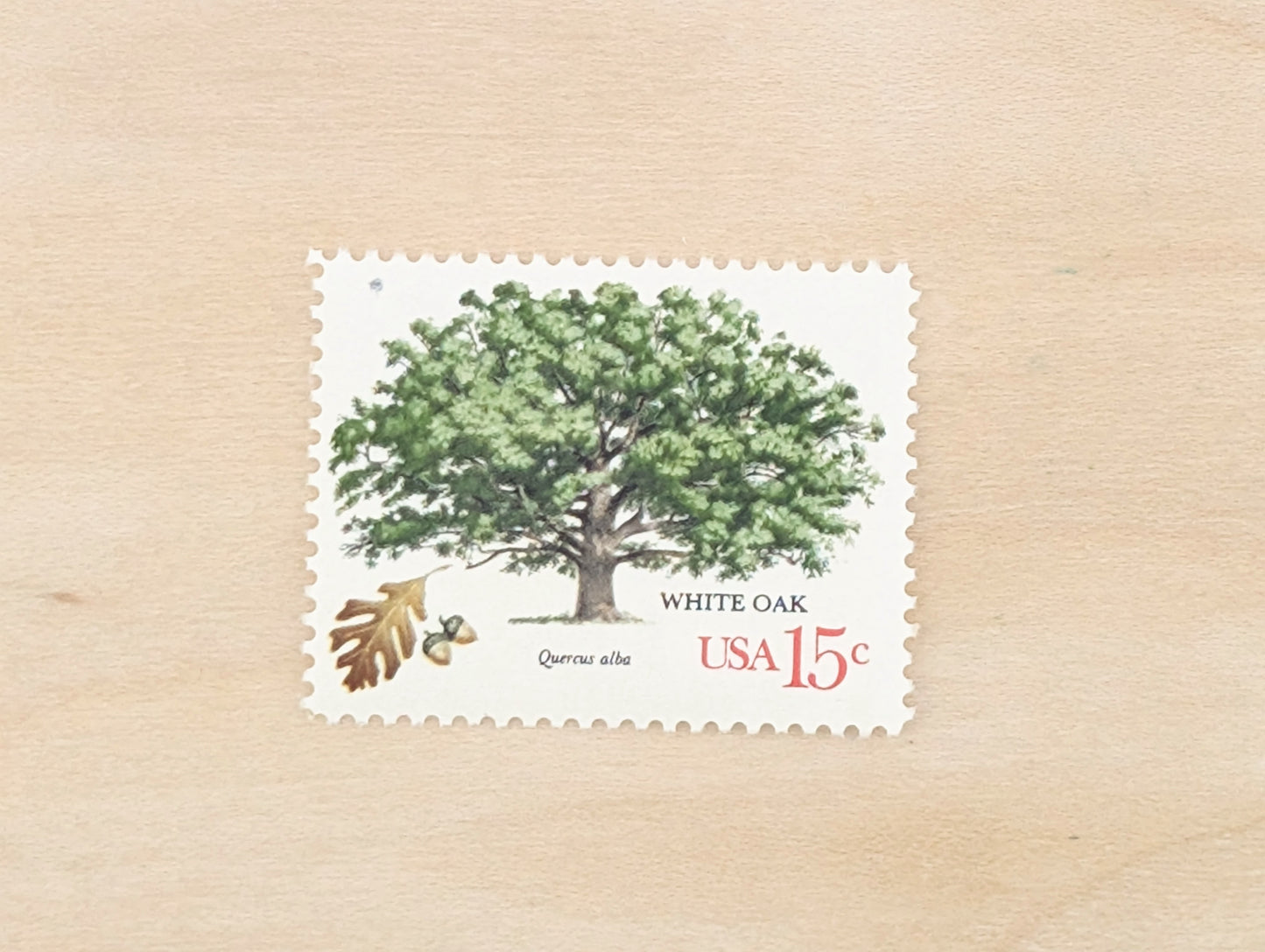 White Oak, Set of 10, Vintage Unused USPS 15 Cent Postage Stamps, American Trees, 1978, Gummed