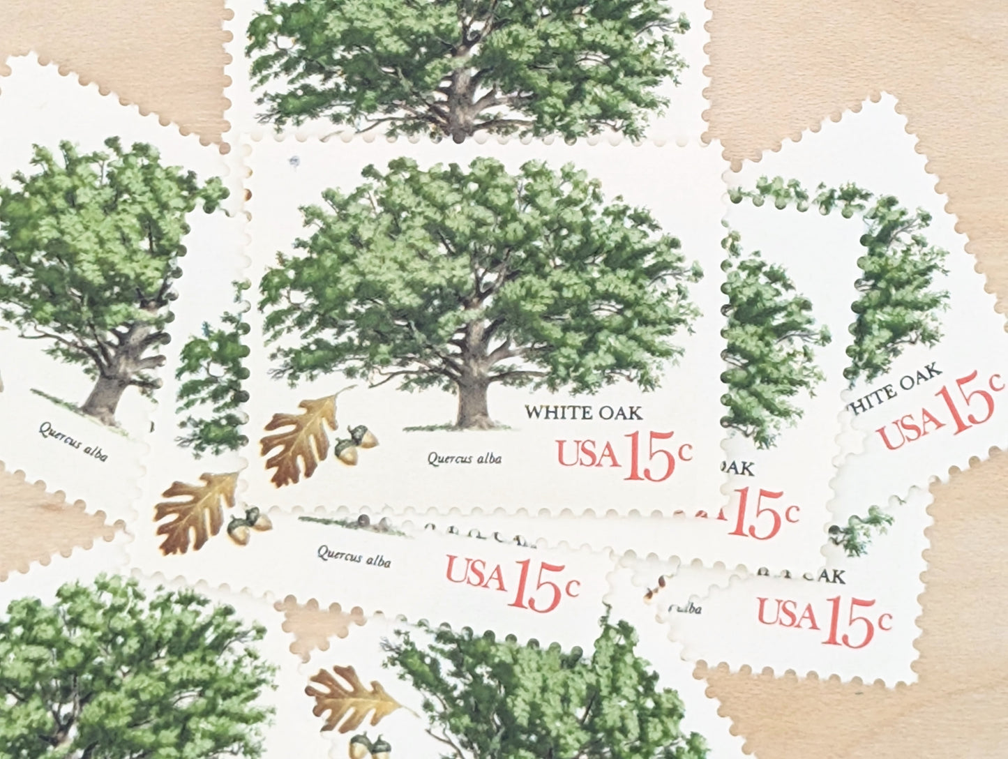 White Oak, Set of 10, Vintage Unused USPS 15 Cent Postage Stamps, American Trees, 1978, Gummed
