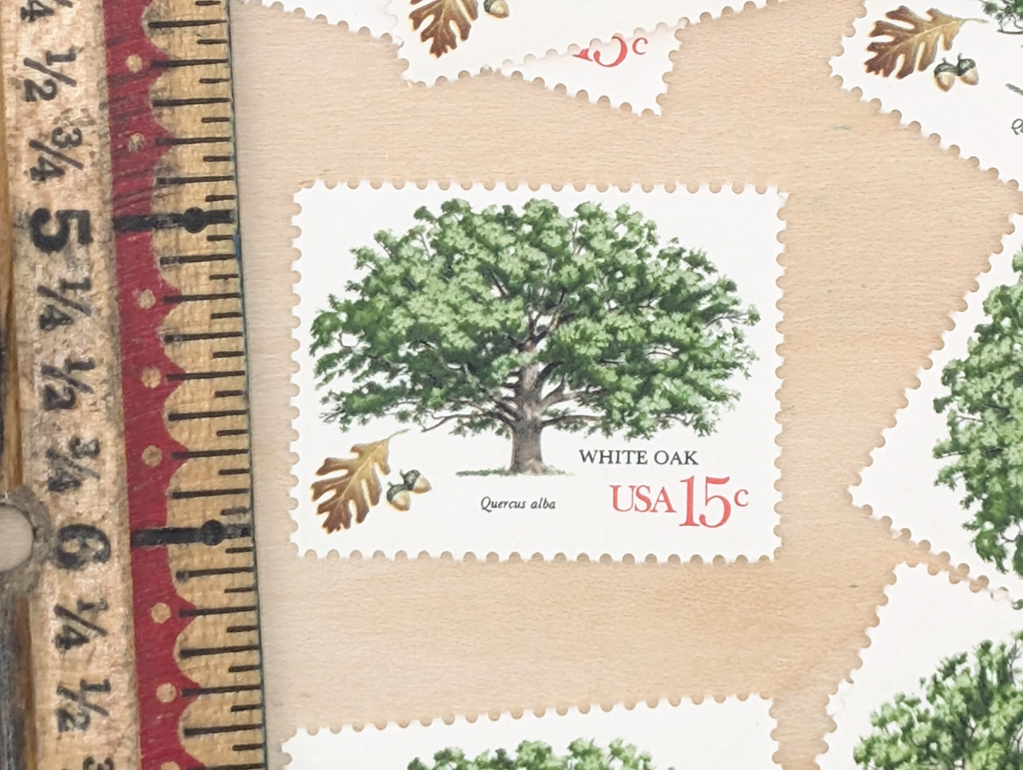 White Oak, Set of 10, Vintage Unused USPS 15 Cent Postage Stamps, American Trees, 1978, Gummed