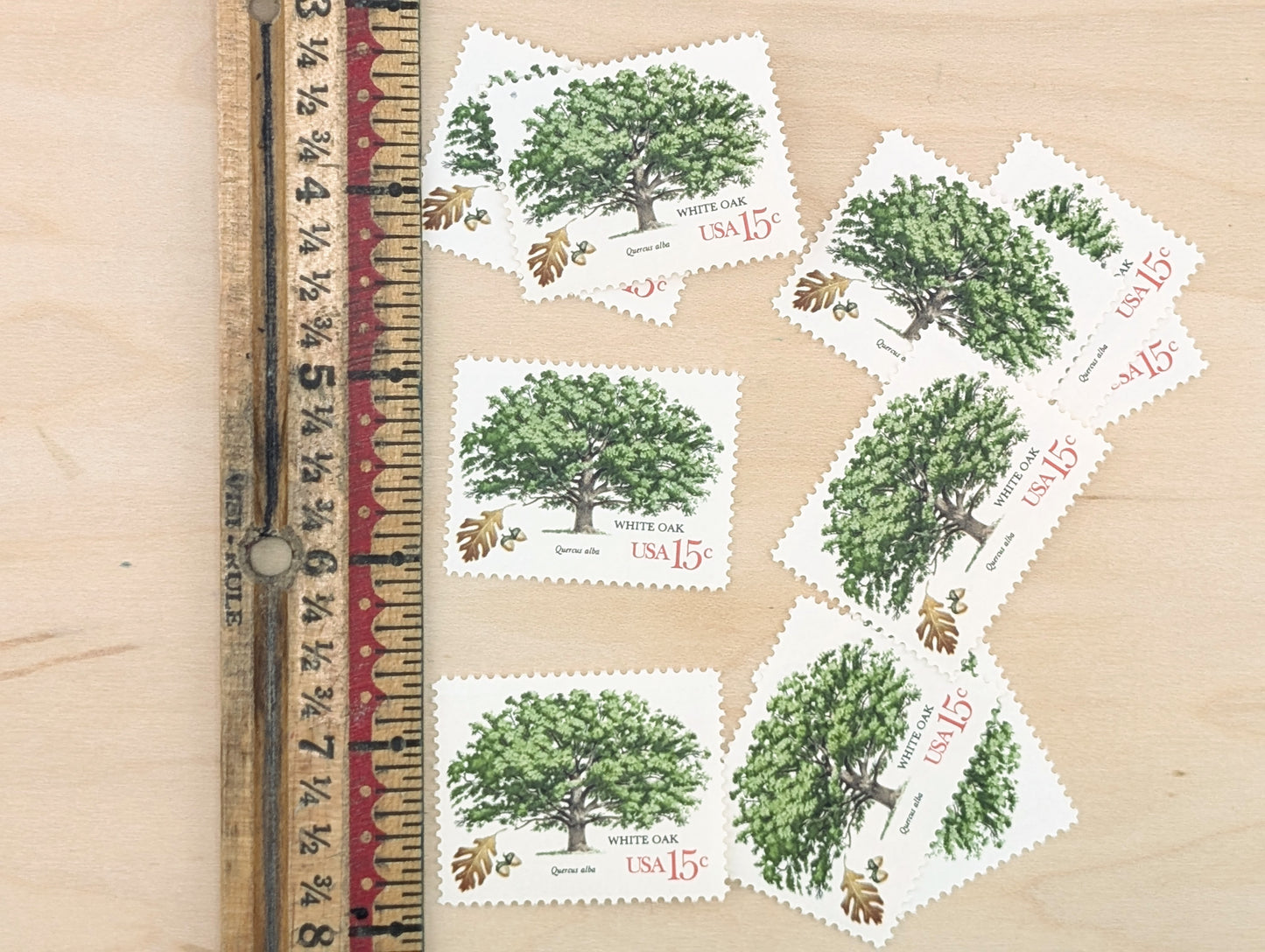 White Oak, Set of 10, Vintage Unused USPS 15 Cent Postage Stamps, American Trees, 1978, Gummed