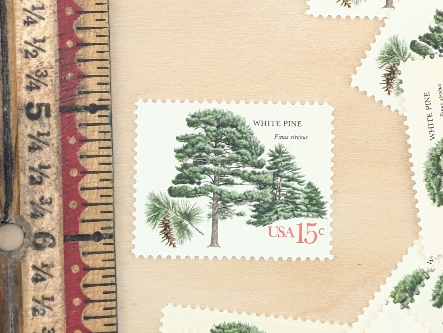White Pine, Set of 10, Vintage Unused USPS 15 Cent Postage Stamps, American Trees Stamps, 1978, Gummed