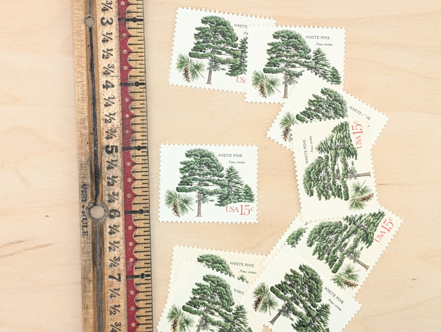 White Pine, Set of 10, Vintage Unused USPS 15 Cent Postage Stamps, American Trees Stamps, 1978, Gummed