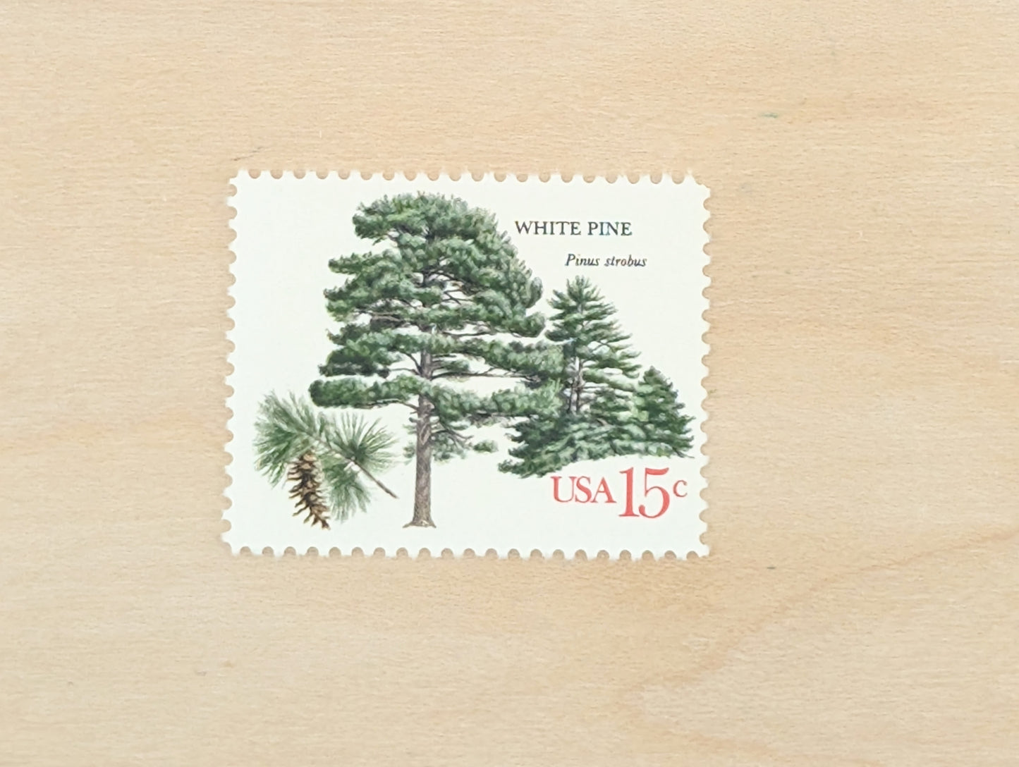 White Pine, Set of 10, Vintage Unused USPS 15 Cent Postage Stamps, American Trees Stamps, 1978, Gummed